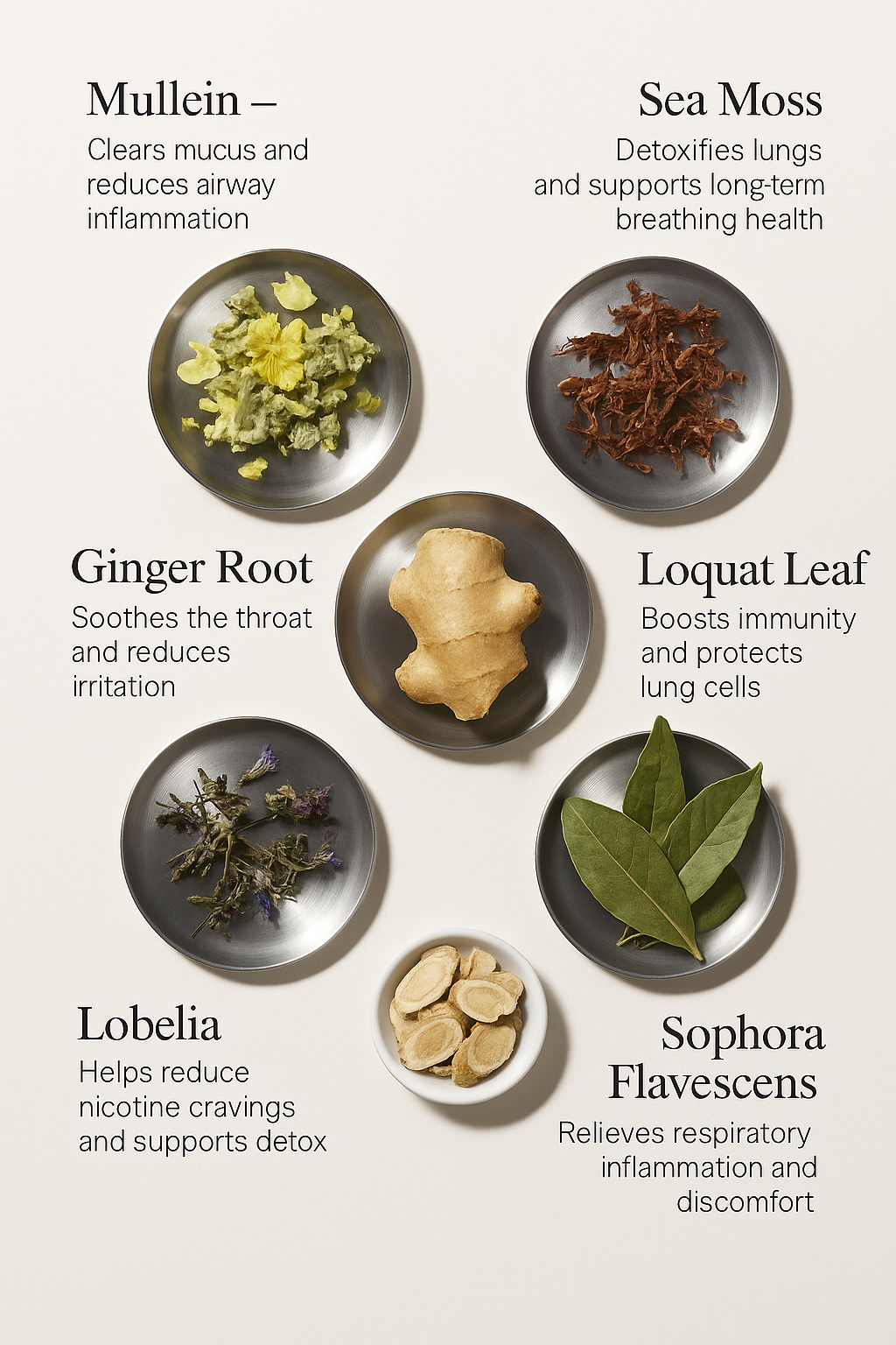 Timilk® HerbaAir Mullein Lungenreiniger