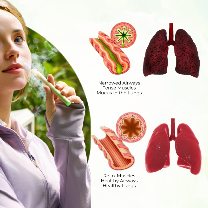 Timilk® HerbaAir Mullein Lung Purifier